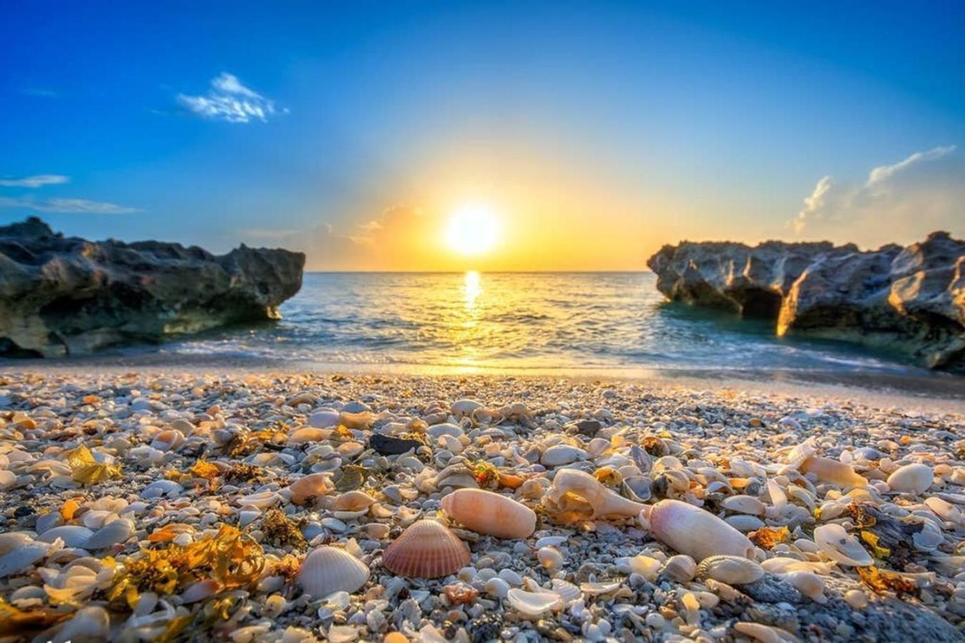 4Br Private Guest Suite Pool Pga Beaches Палм-Біч-Ґарденс Екстер'єр фото